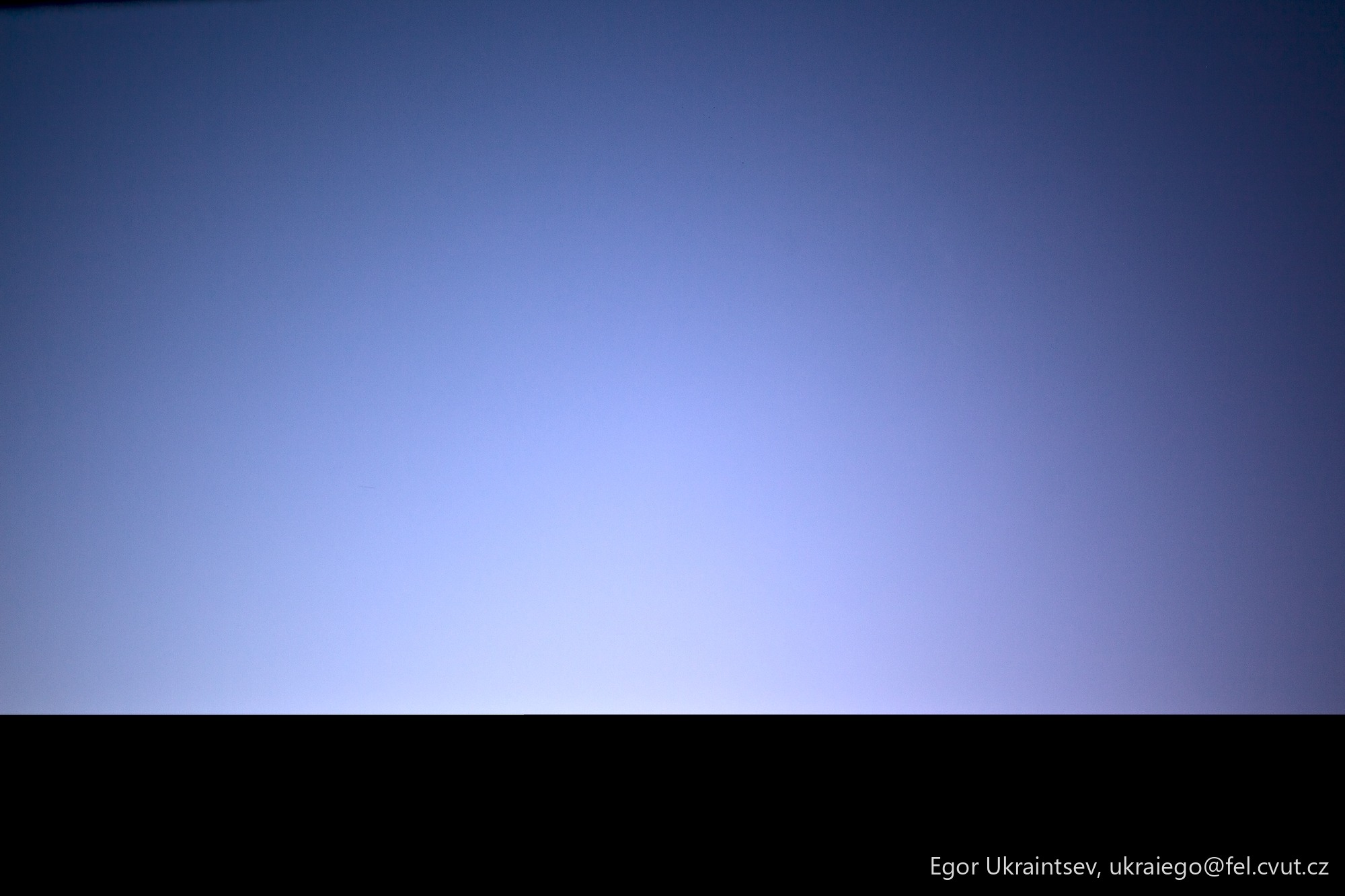 Bird flying in the sky
