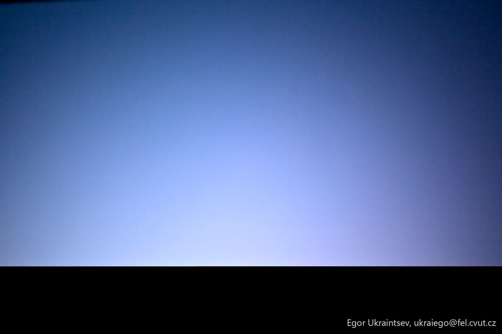 Bird flying in the sky