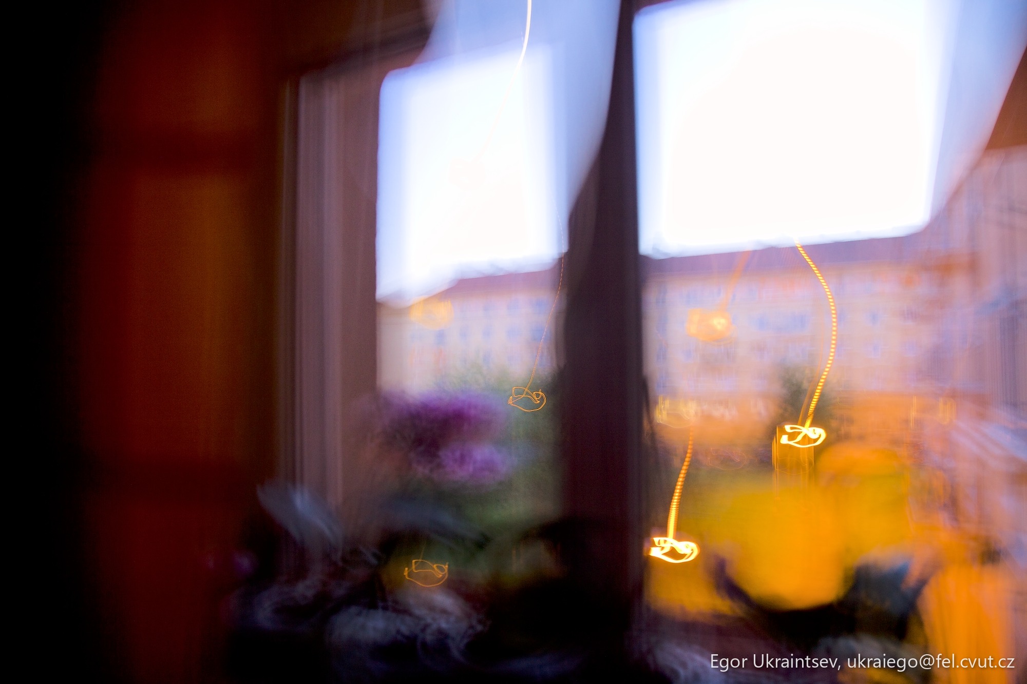 Window with flowers in it