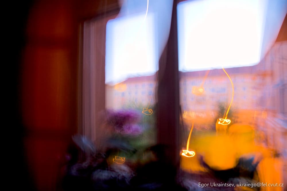 Window with flowers in it