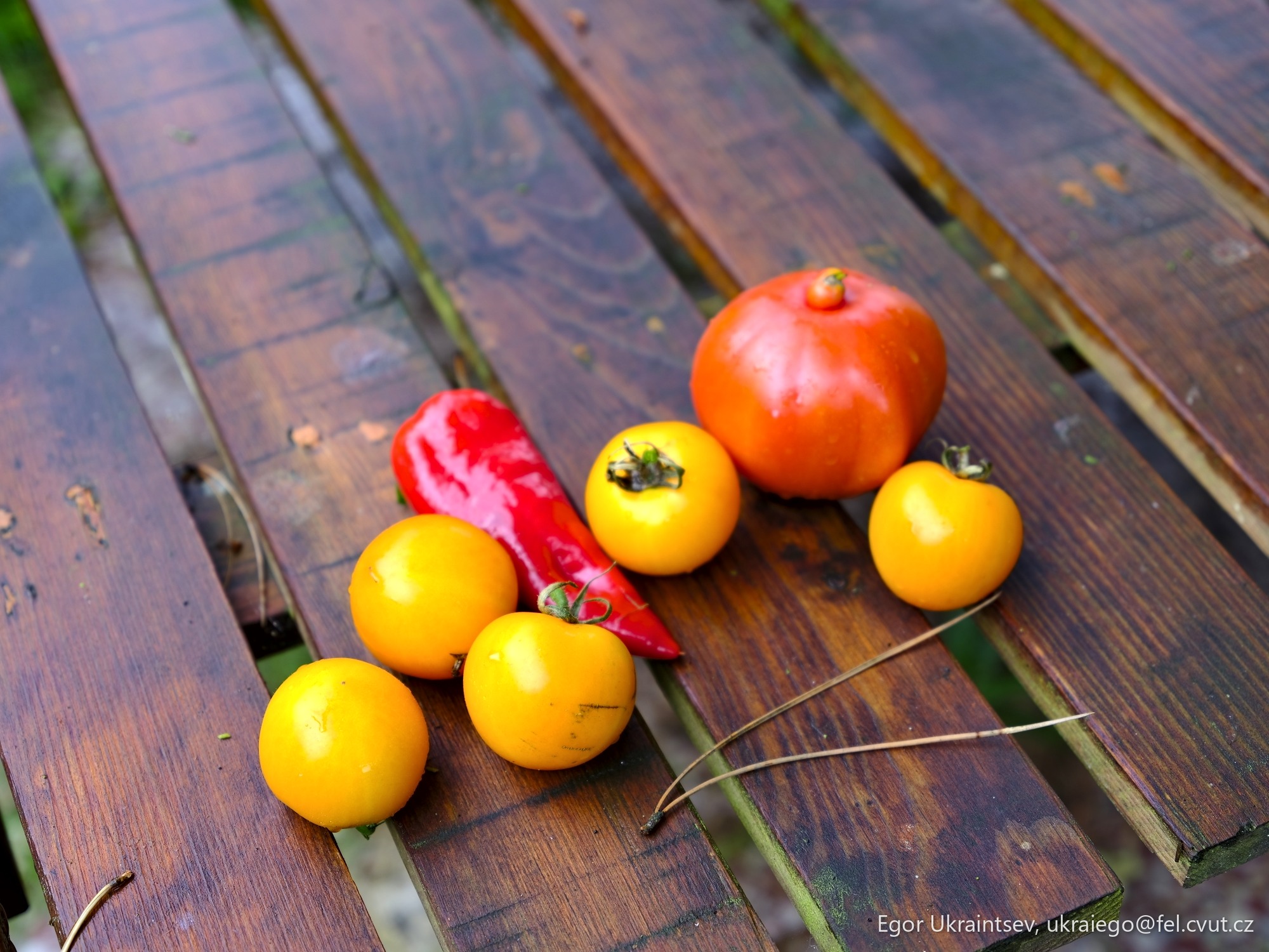 Tomatoes and peppers