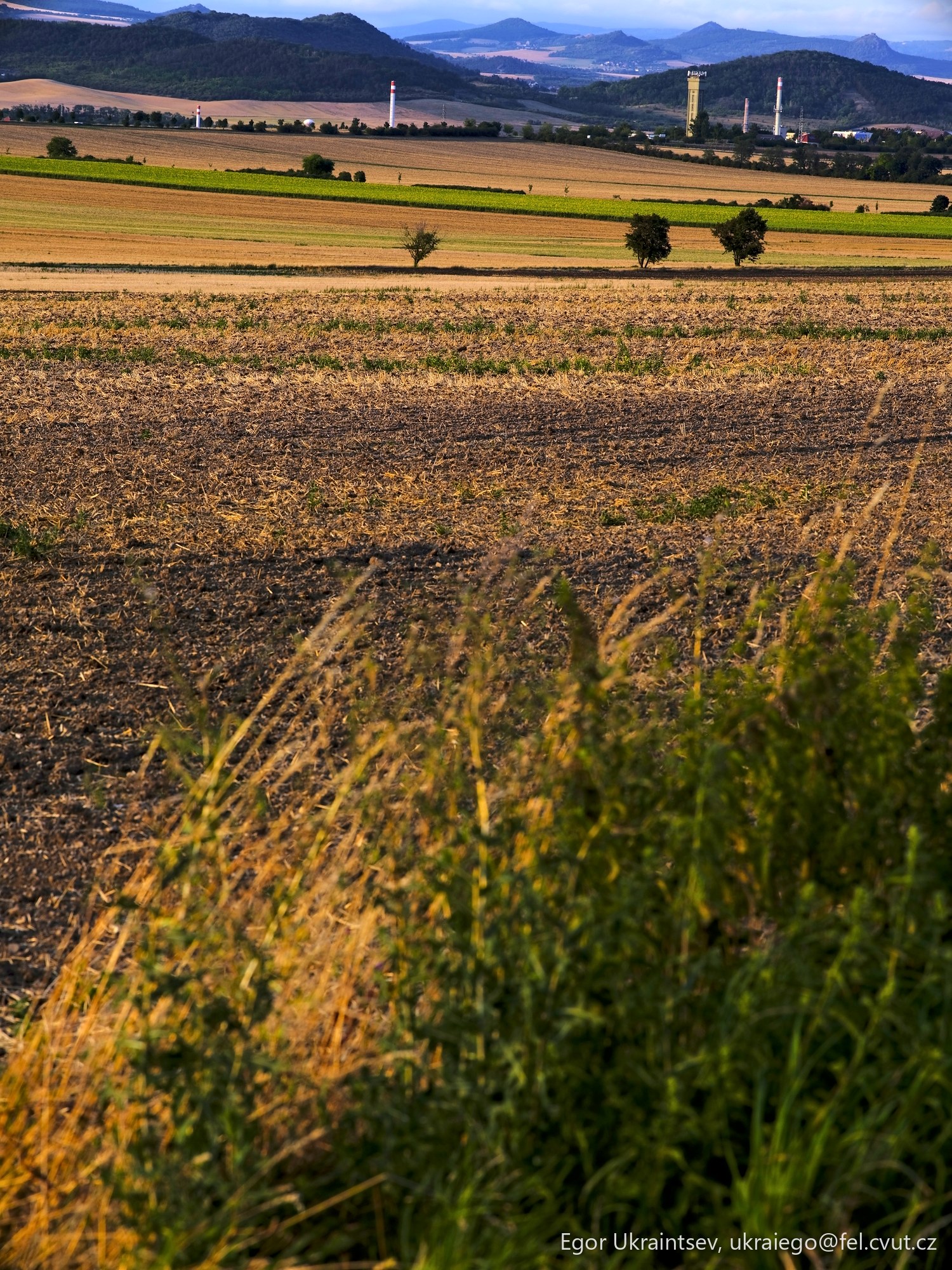 Field with mountains