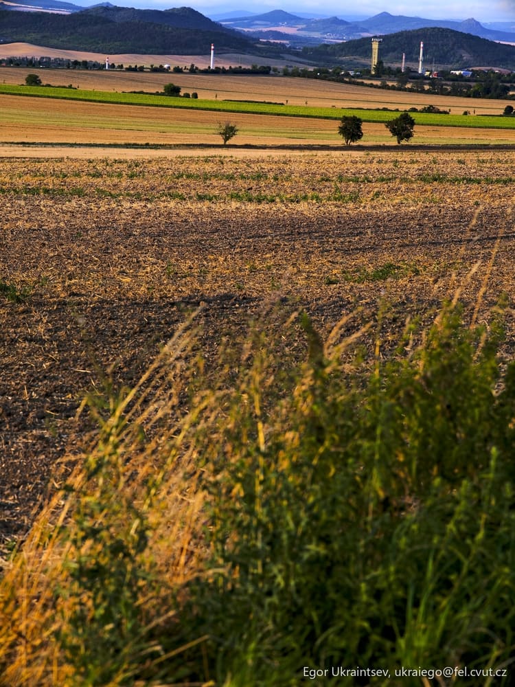 Field with mountains