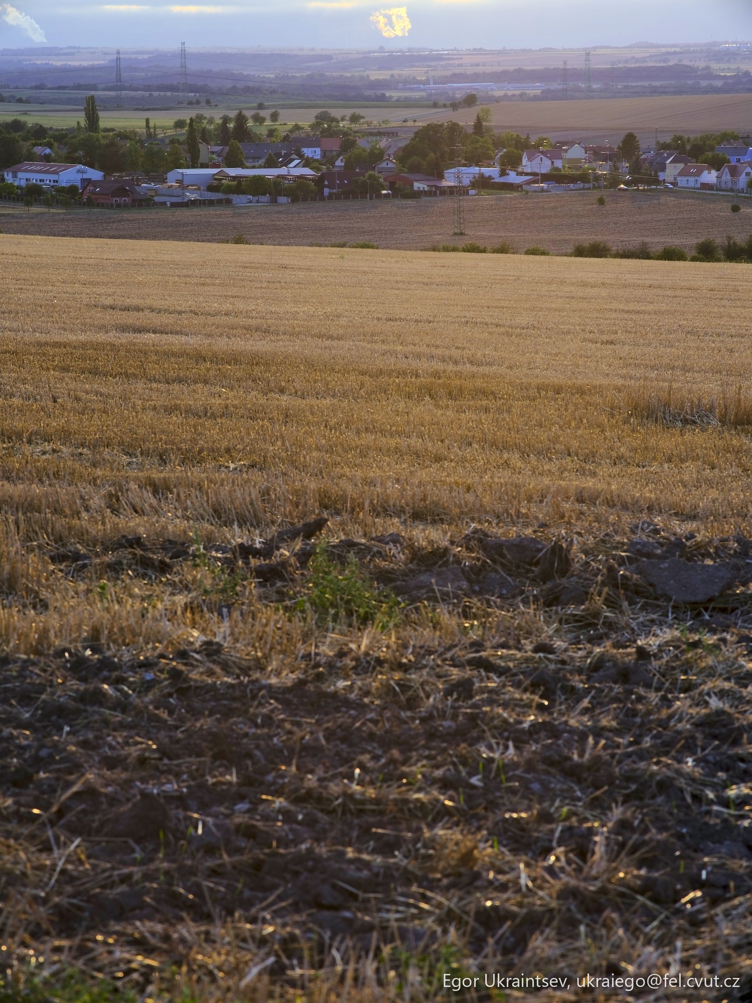 Field in the countryside