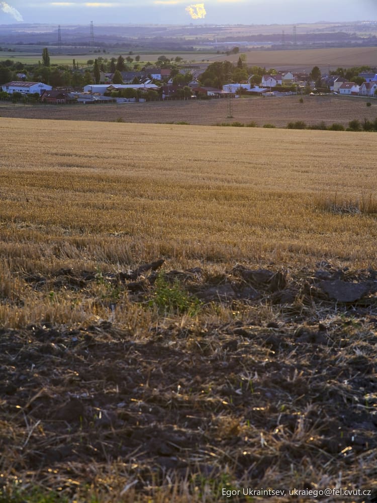 Field in the countryside