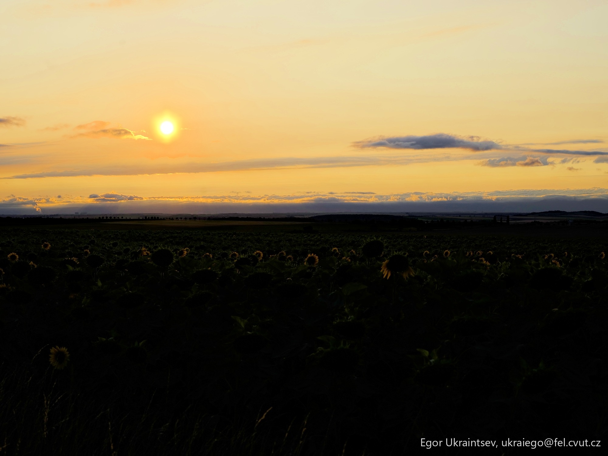 Sun setting over a field