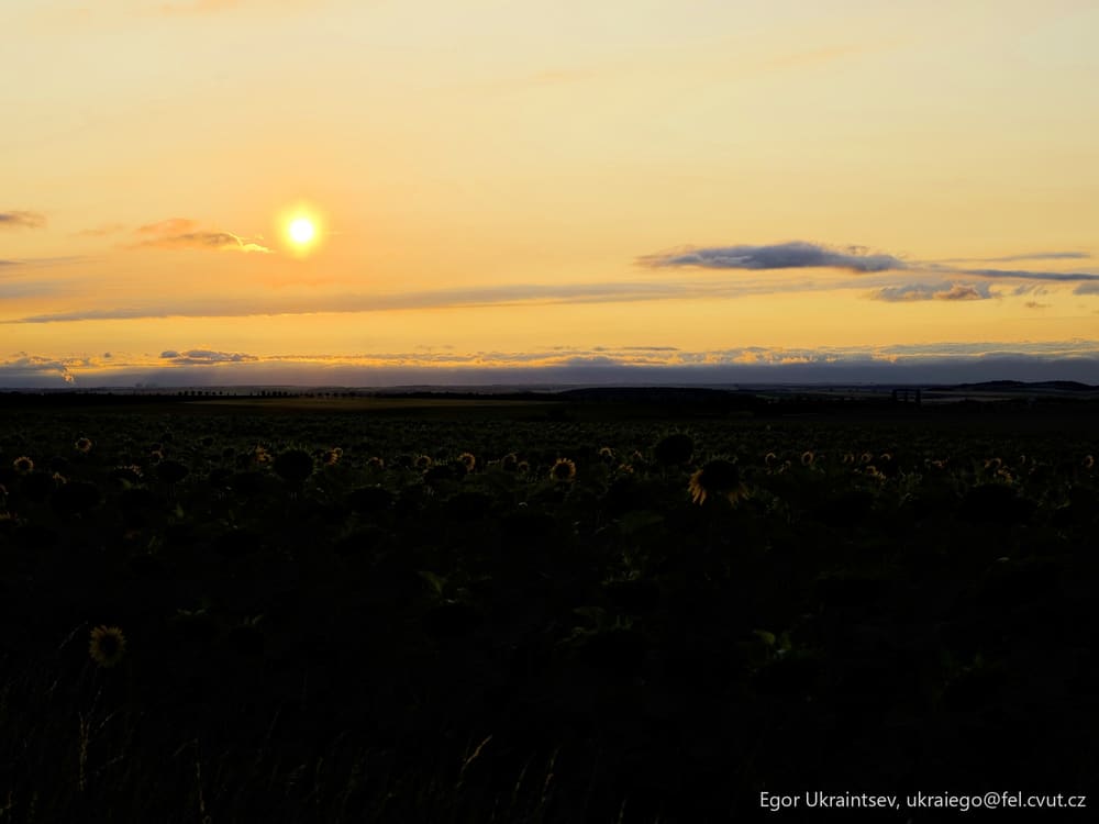Sun setting over a field