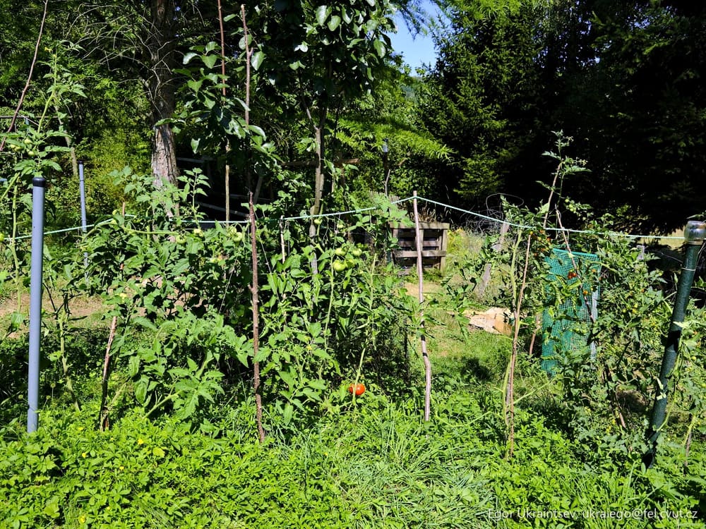 Vegetable garden