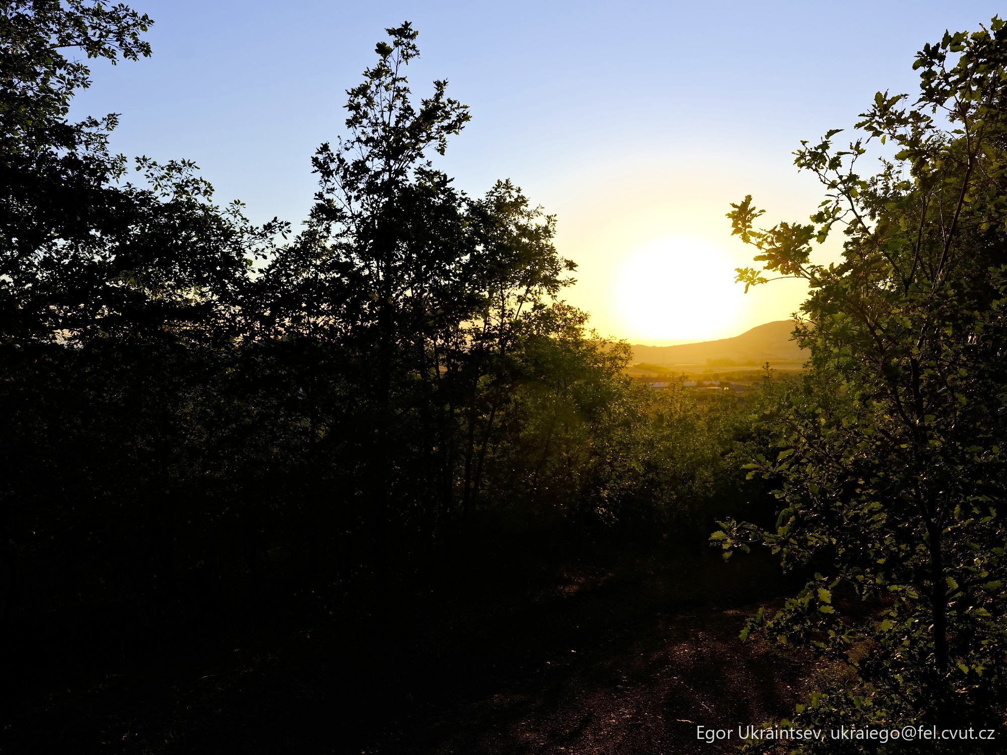 Sun setting behind trees