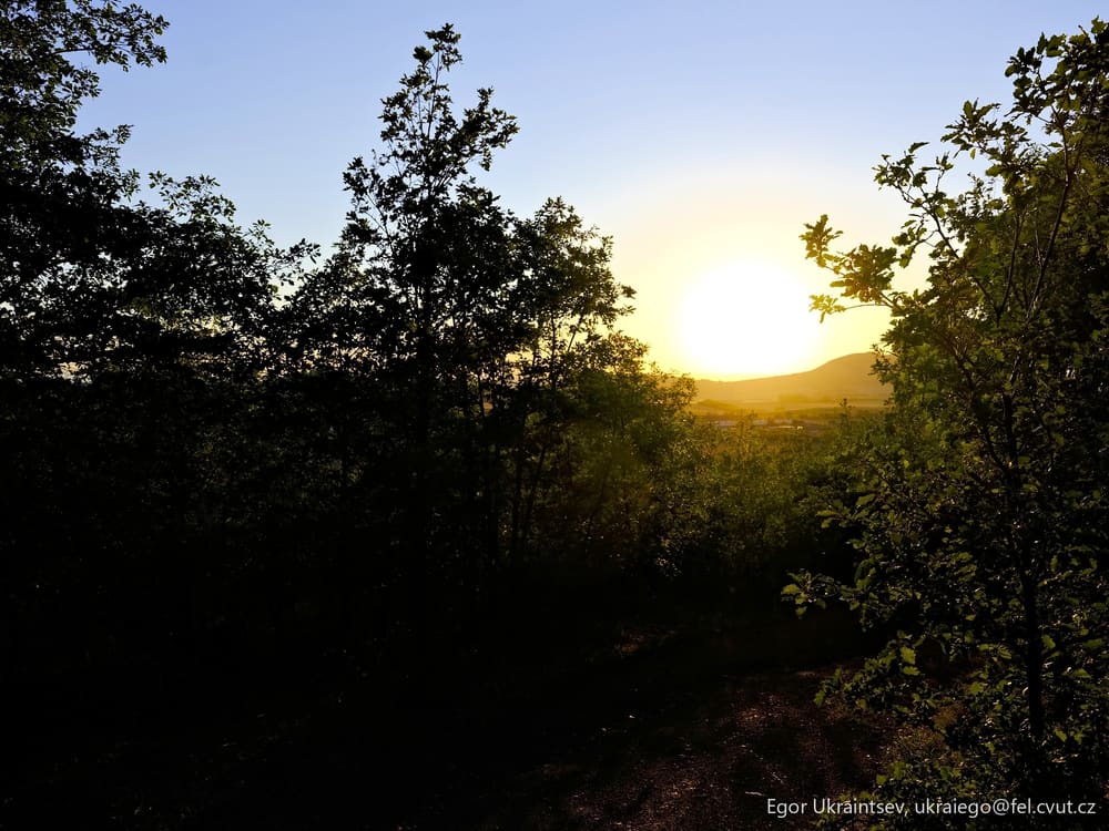Sun setting behind trees