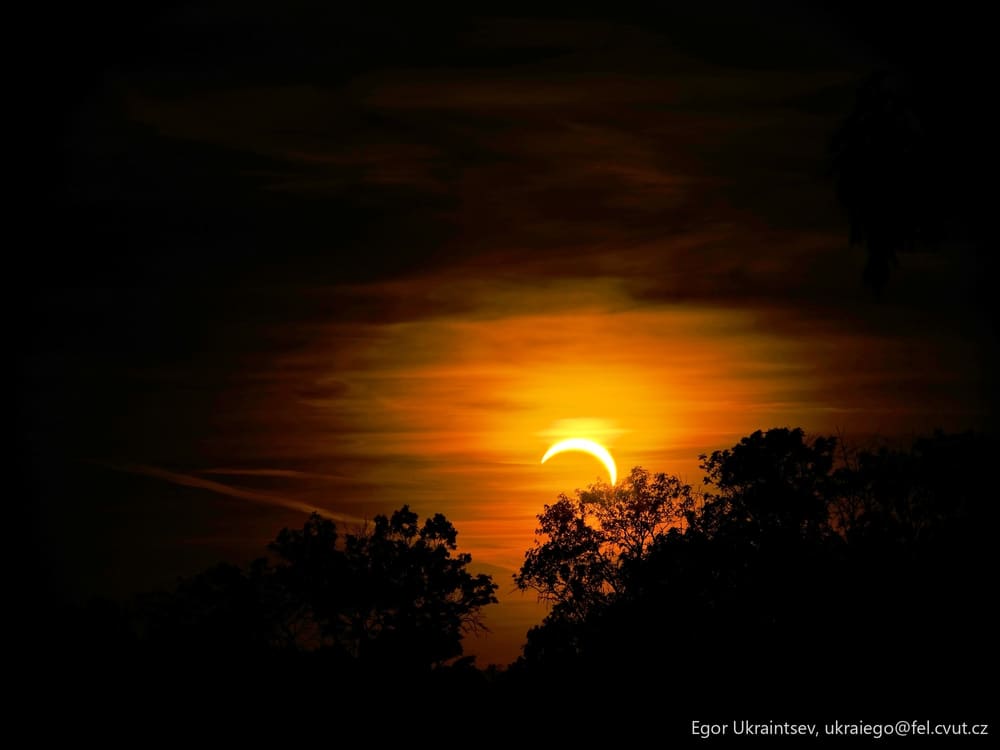 Sun setting behind a tree