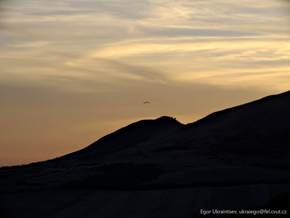Bird flying in the sky