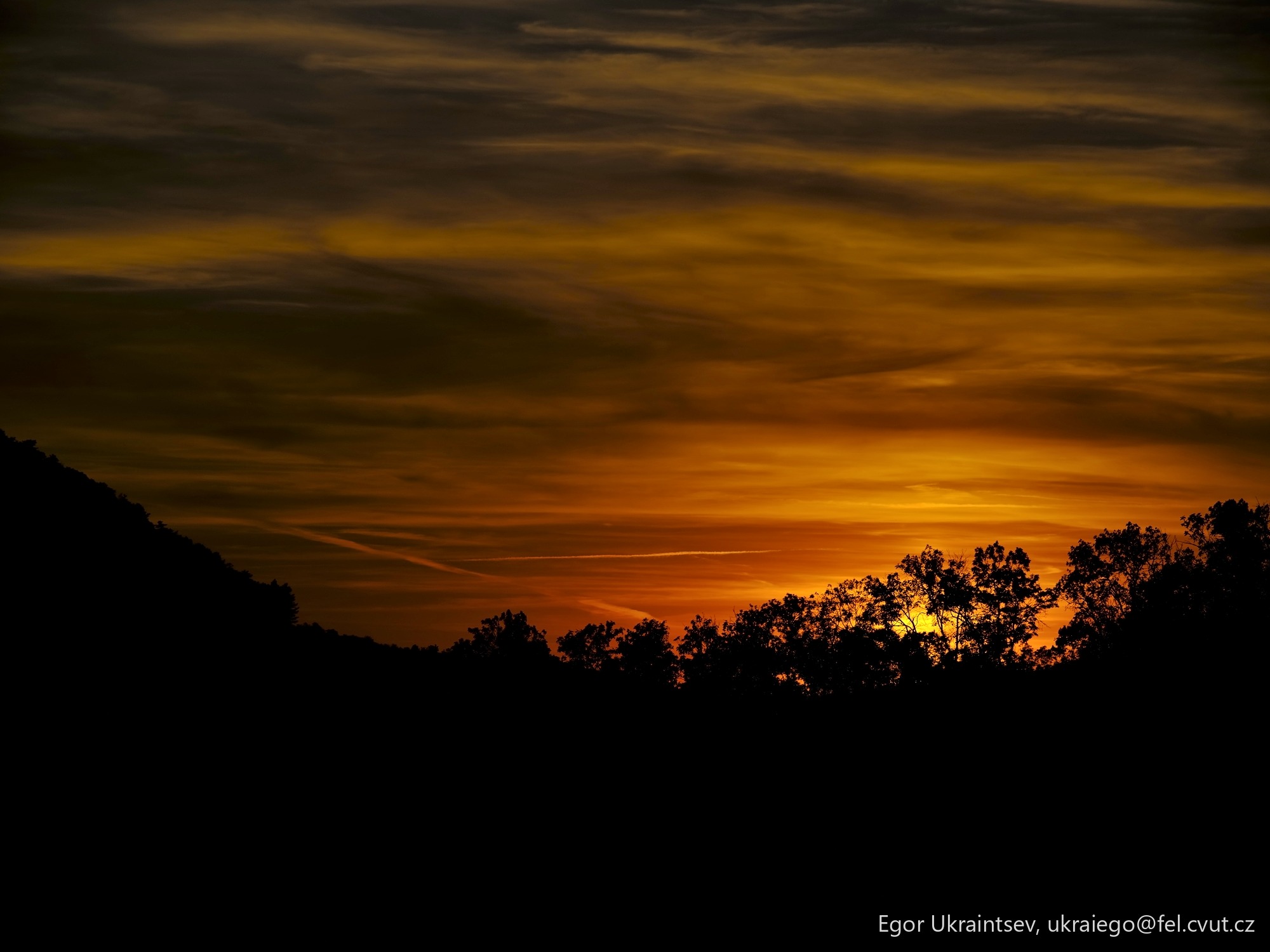 Sun setting behind trees