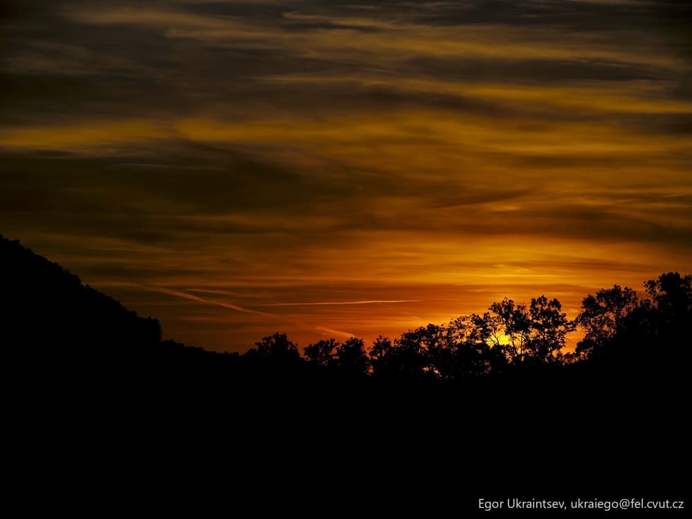 Sun setting behind trees