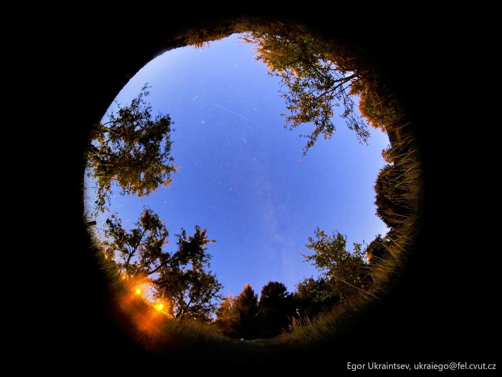 Night sky and trees