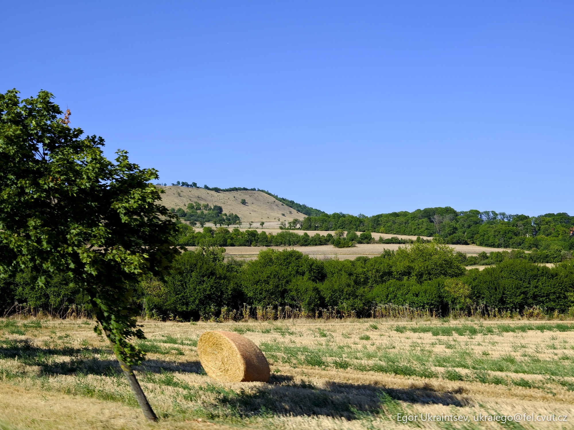 Hay bale in a field