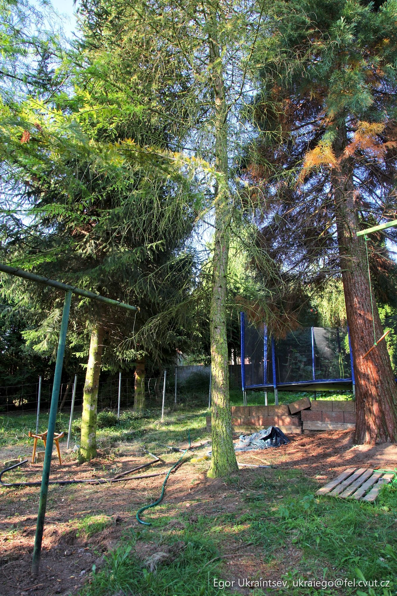 Playground in the woods