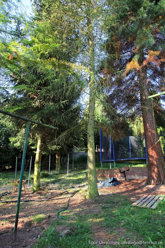 Playground in the woods