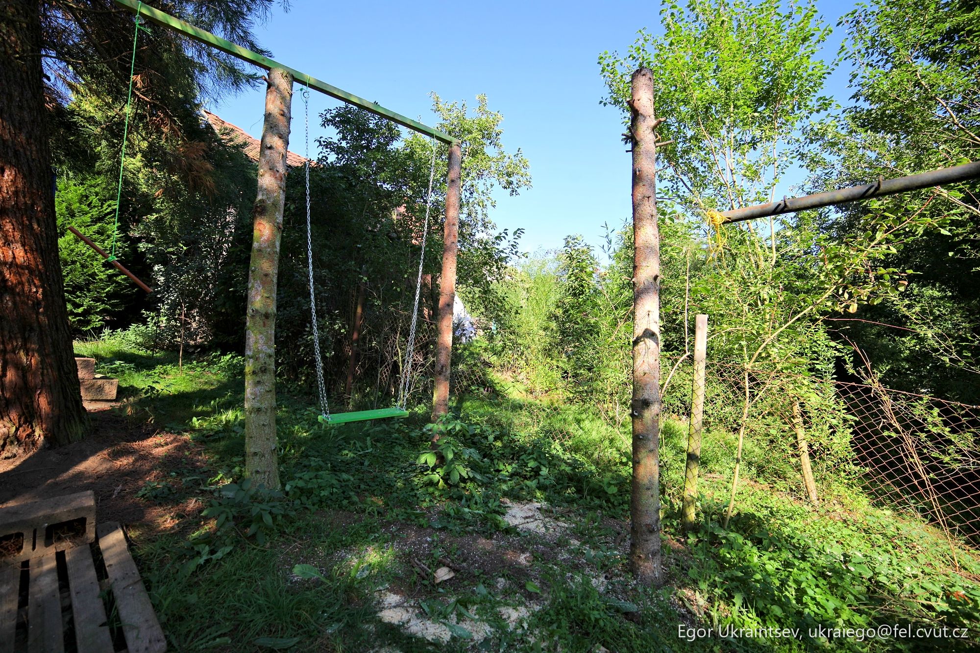 Swing set in the woods