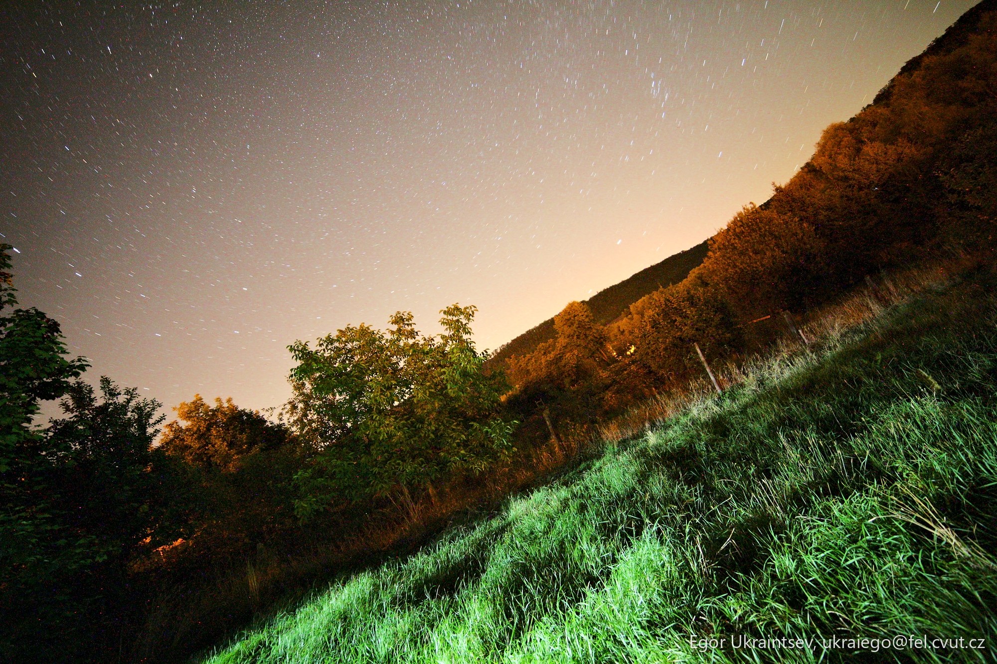 Night sky over a grassy