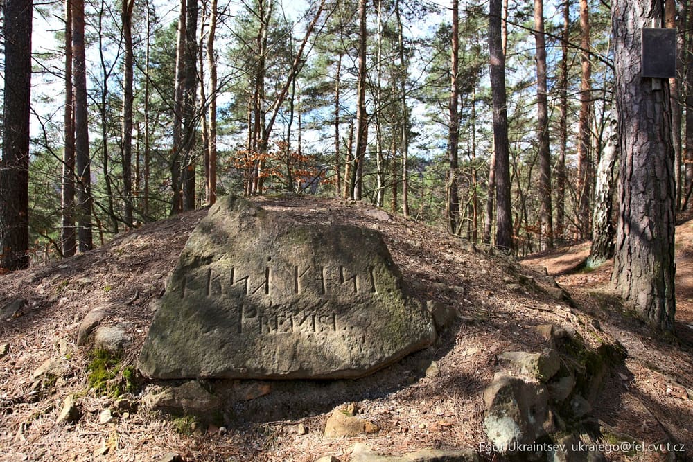 Rock in the woods