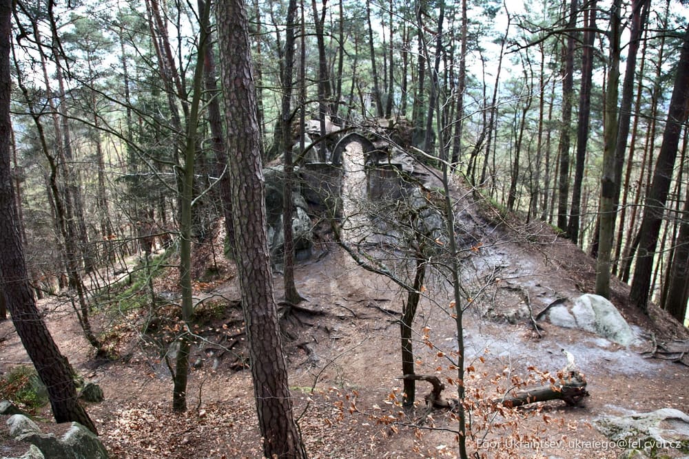 Rock in the woods
