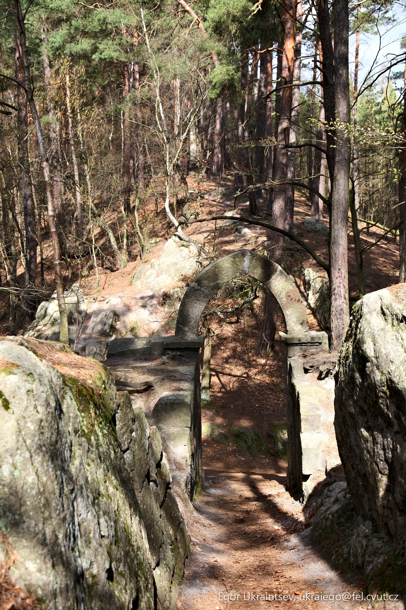Stone bridge in the woods
