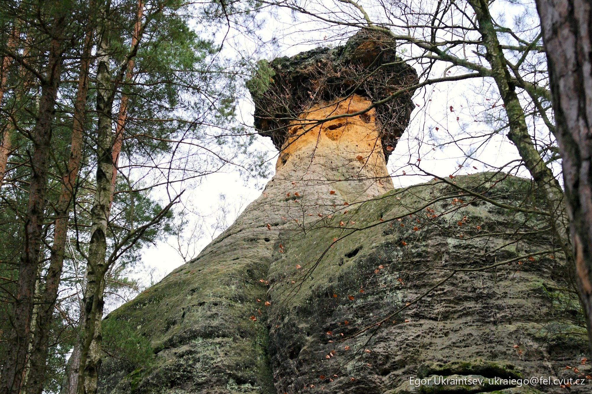 Rock in the woods