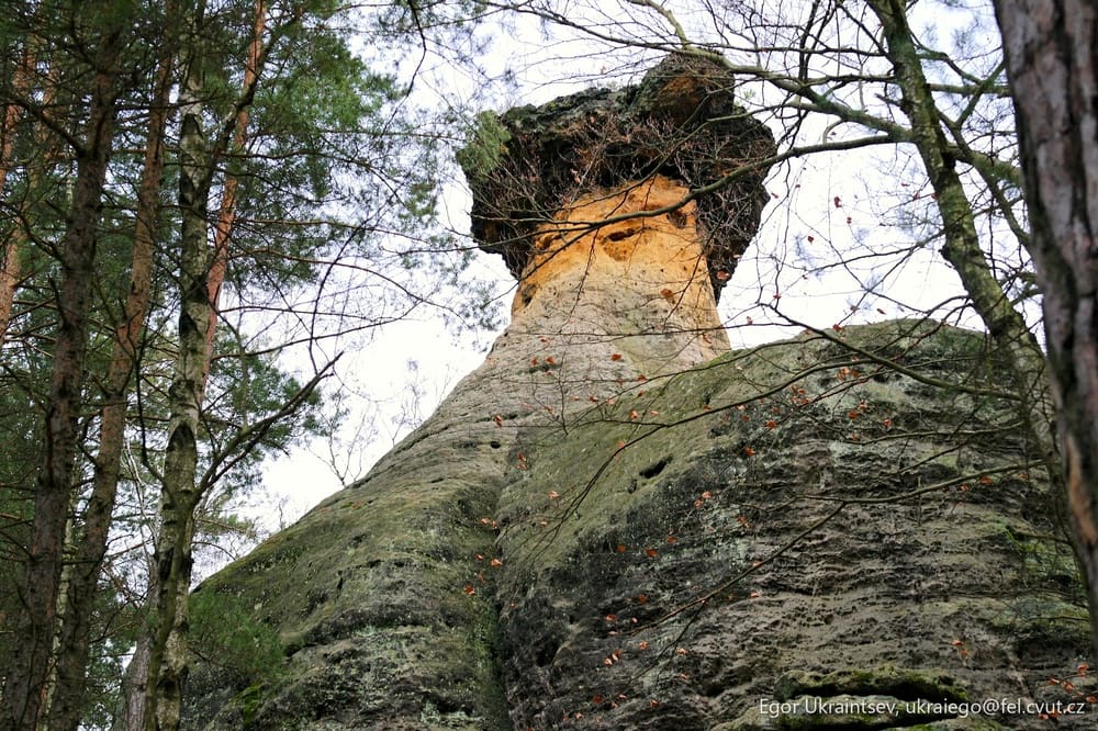 Rock in the woods