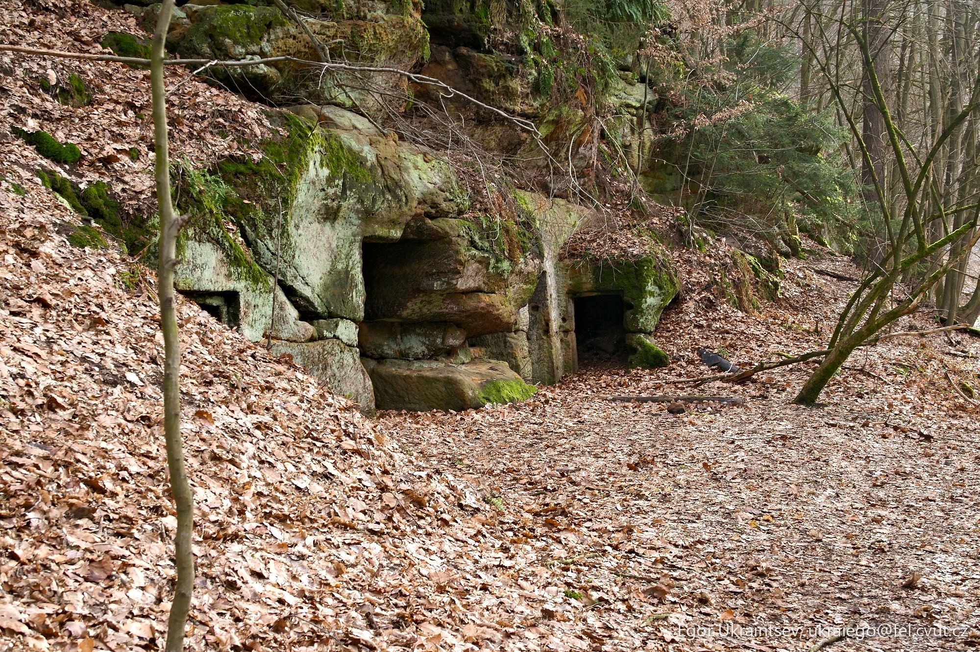 Cave in the woods
