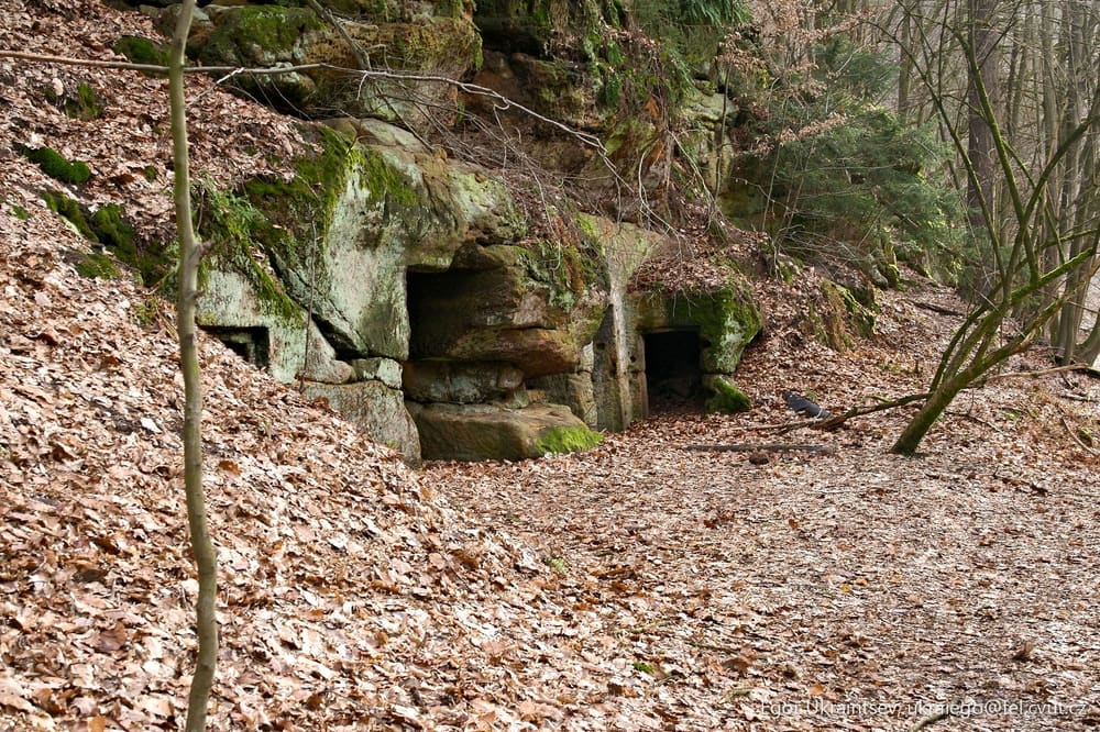 Cave in the woods