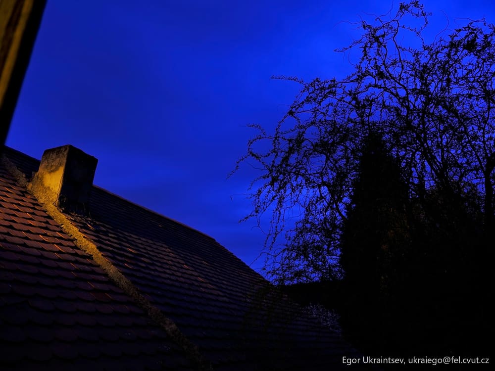 Tree on a roof