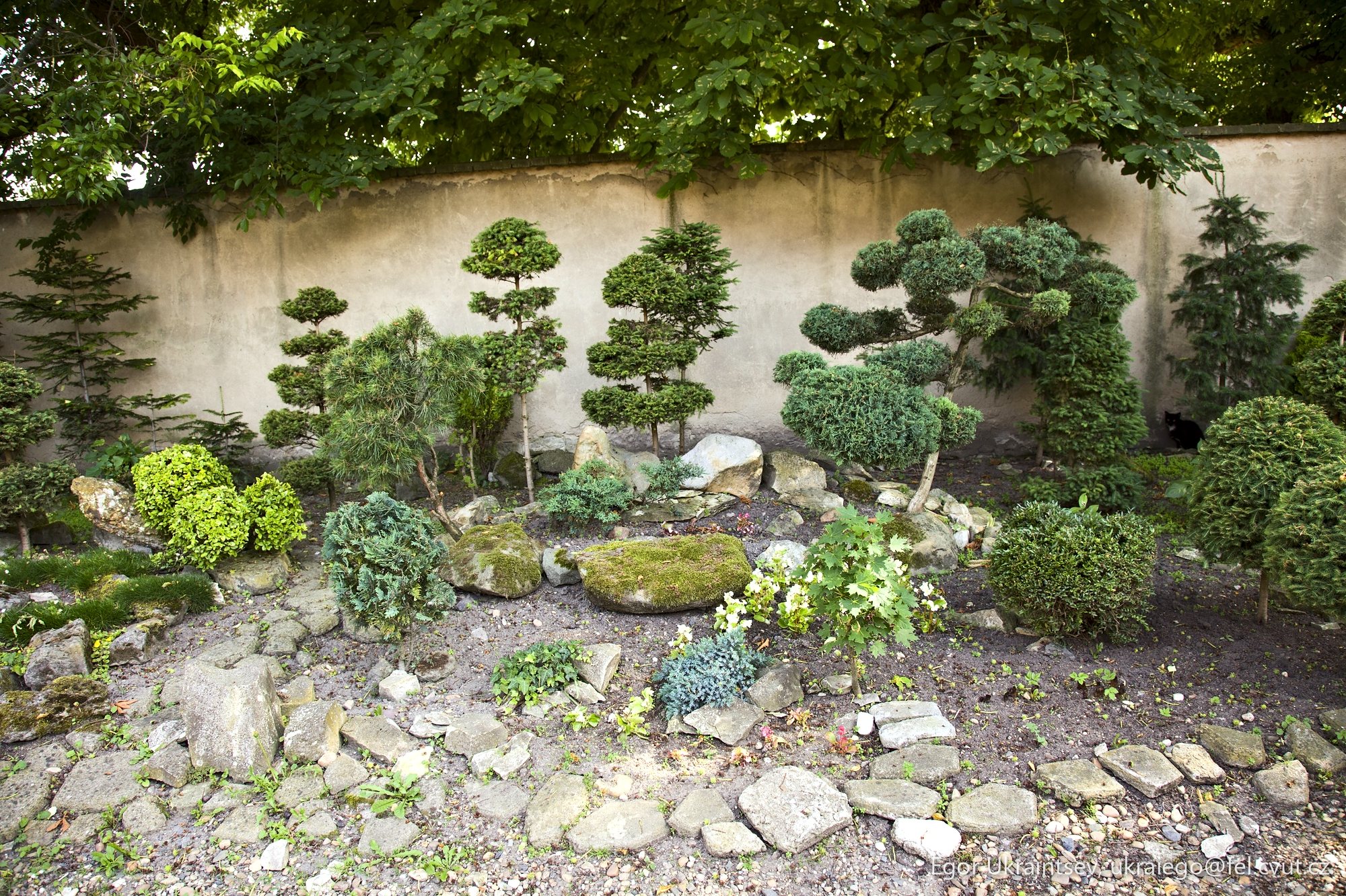 Japanese garden