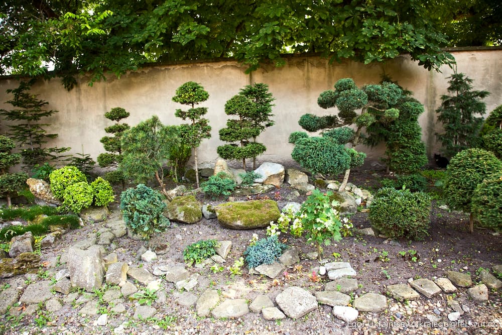 Japanese garden