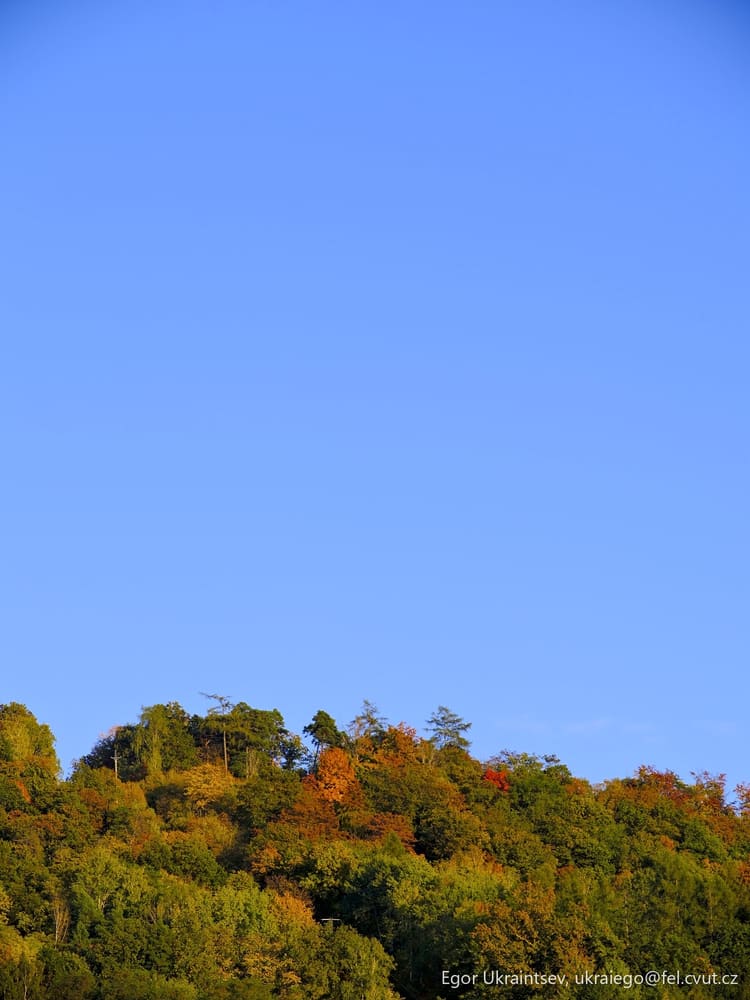 Plane flying over a forest