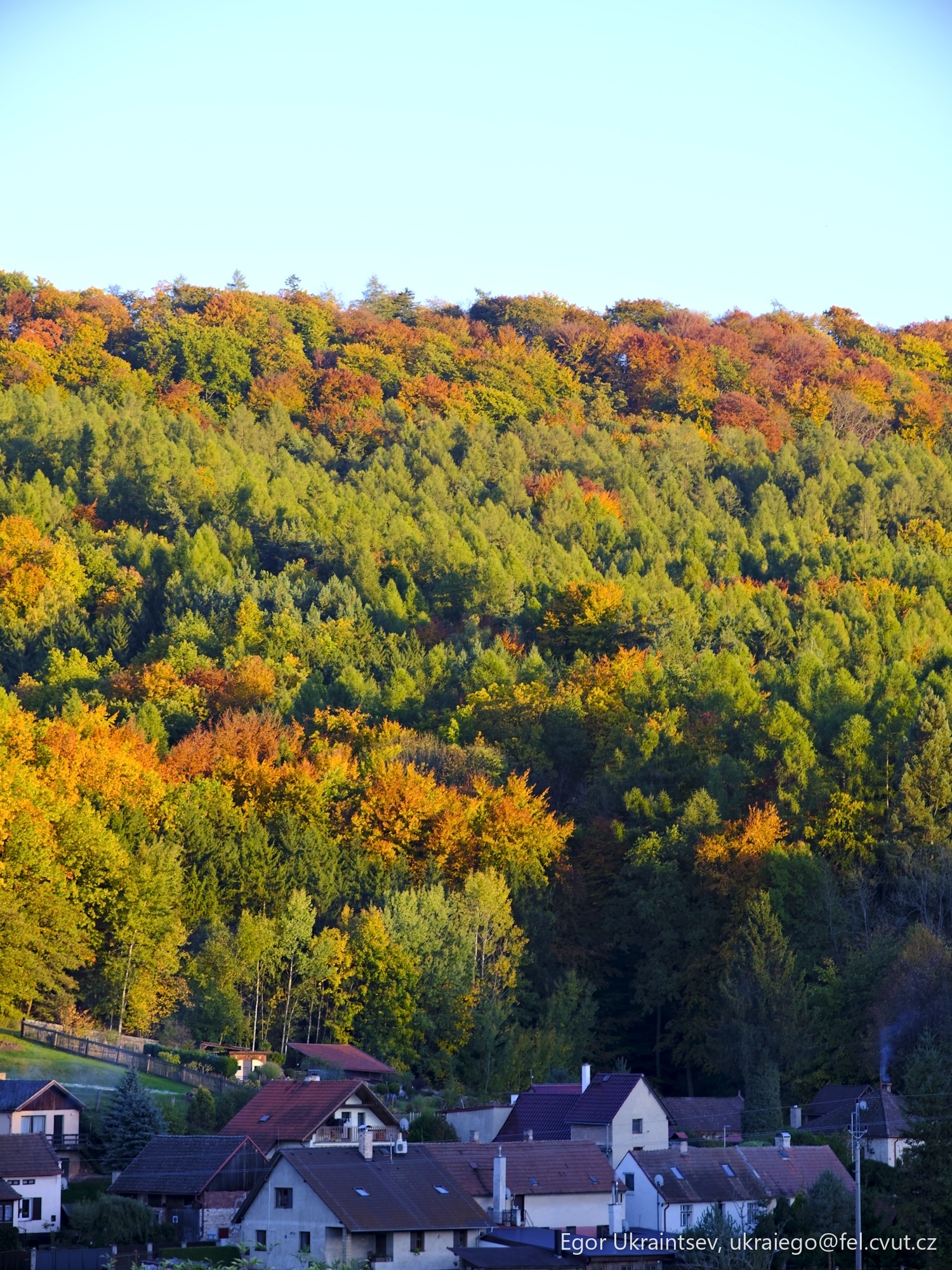 Houses and trees