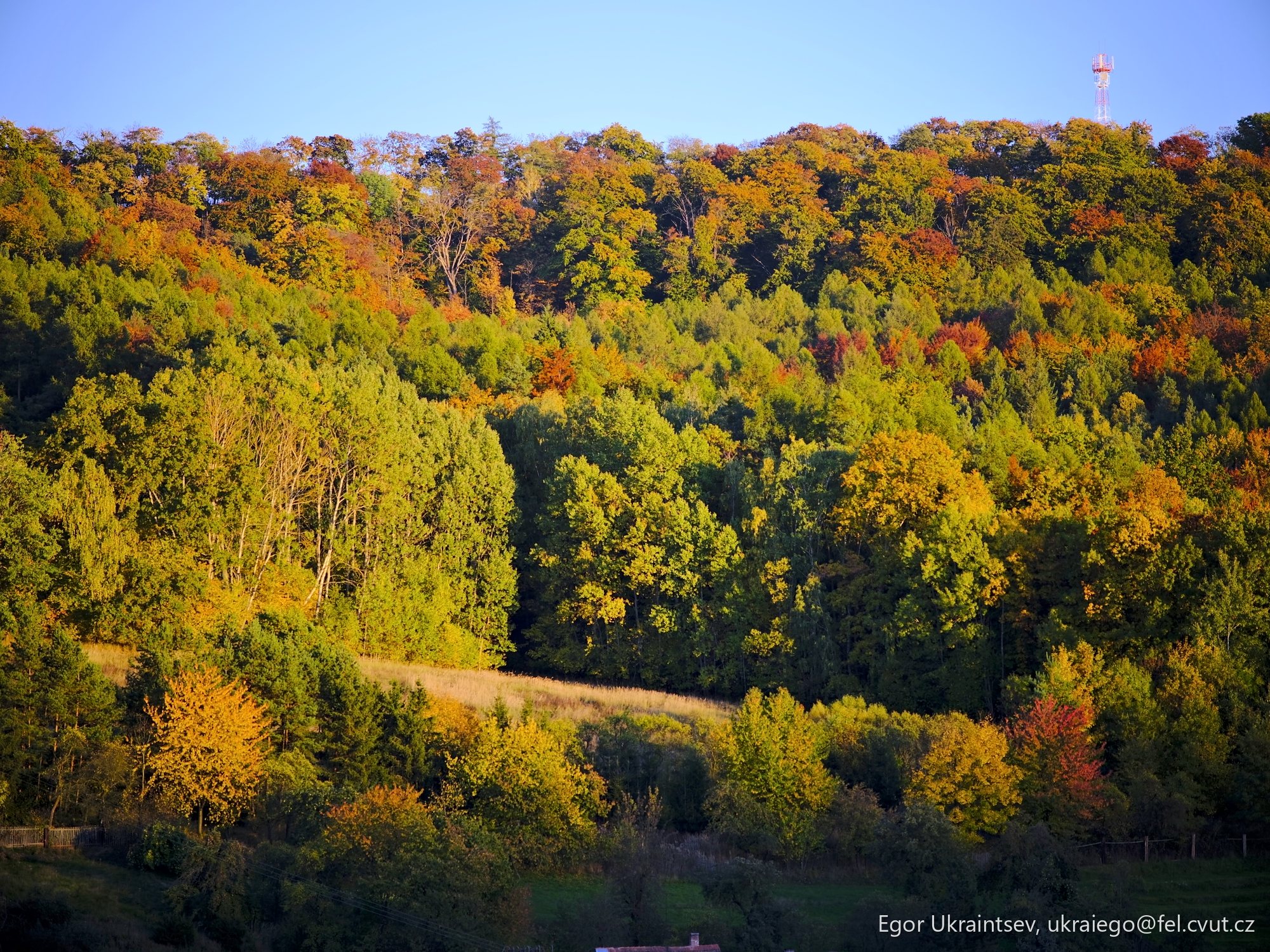 Fall colors in the catskill
