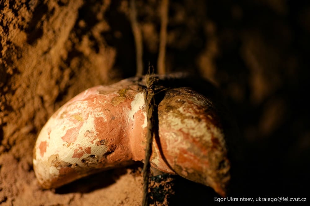 Egg laying on the ground