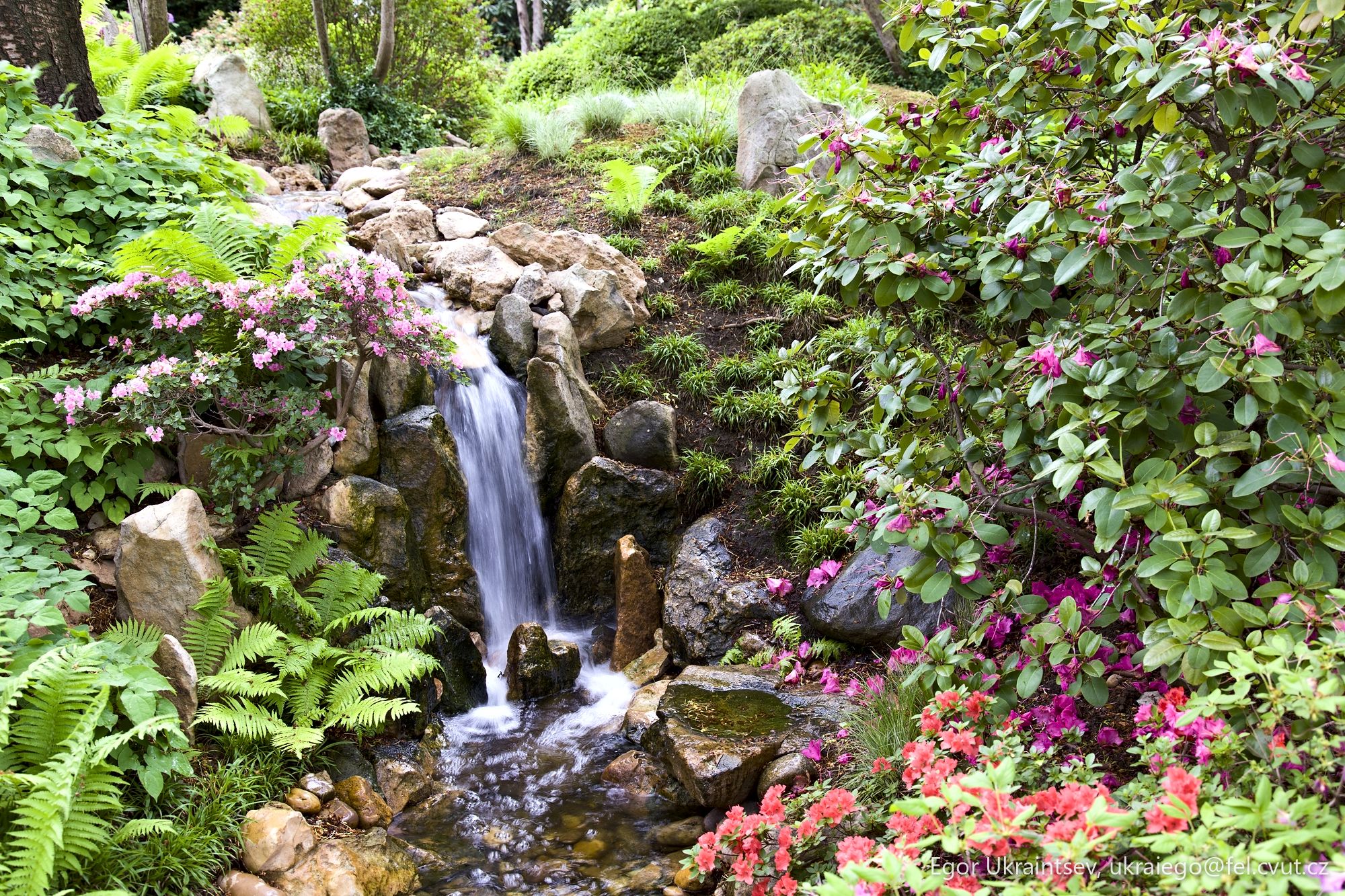 Small waterfall in a japanese