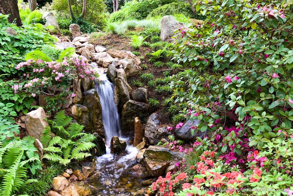 Small waterfall in a japanese