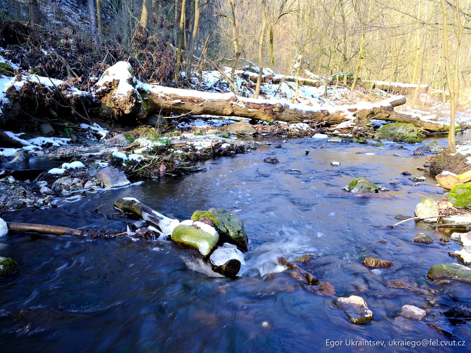 Stream in the woods