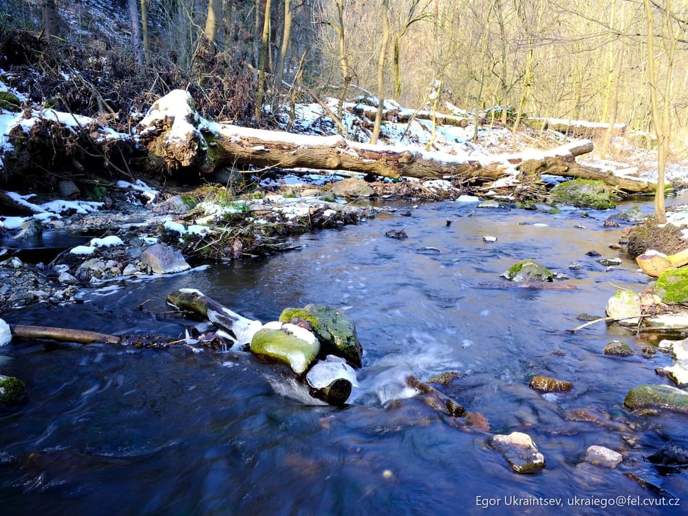 Stream in the woods