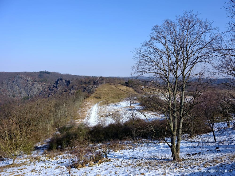 Snowy landscape with bare trees