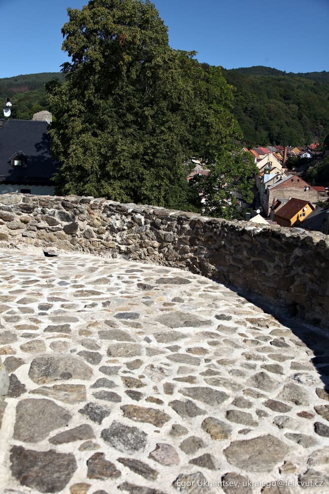 Stone wall with a tree