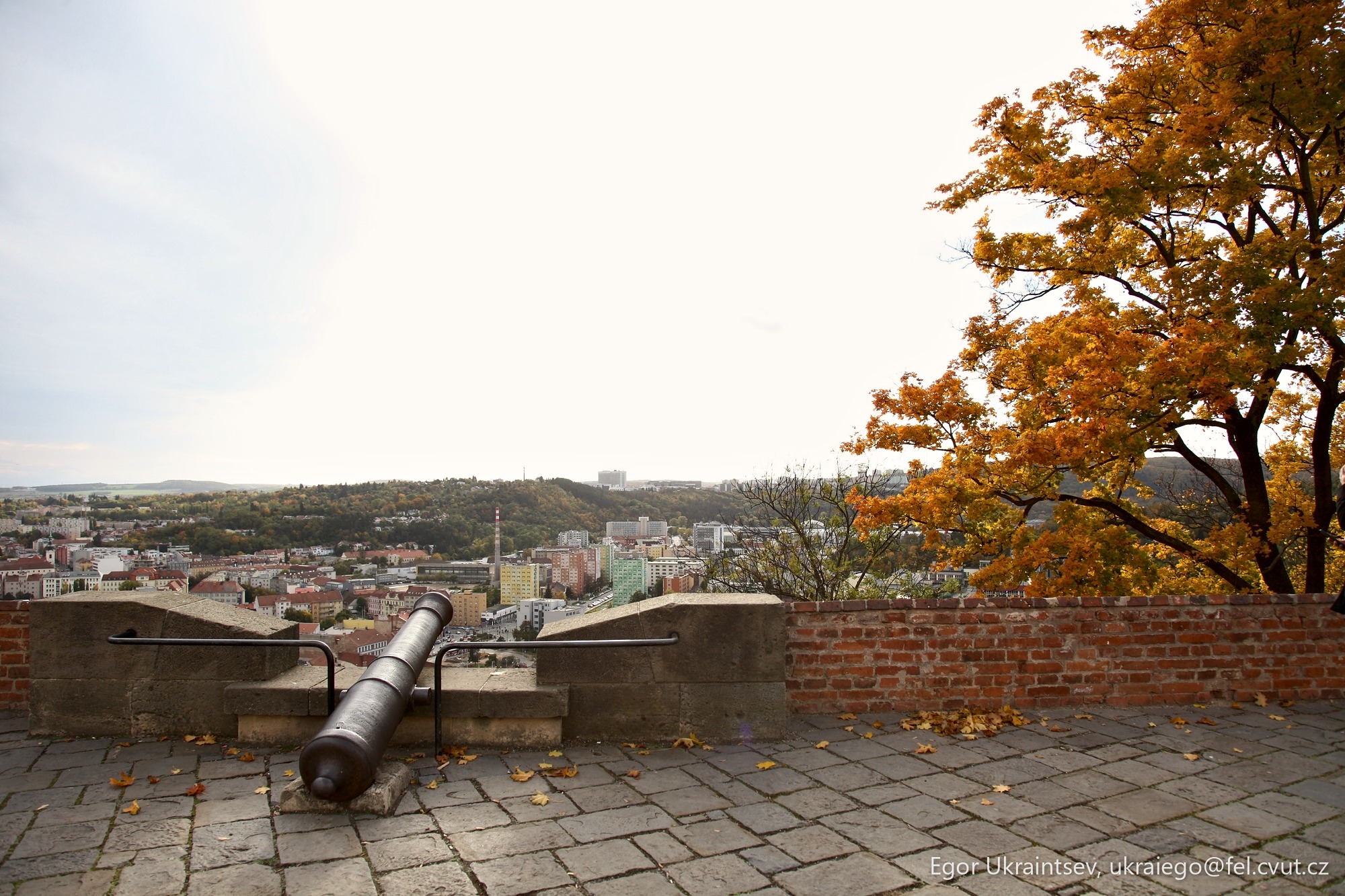 Cannon on top of a building