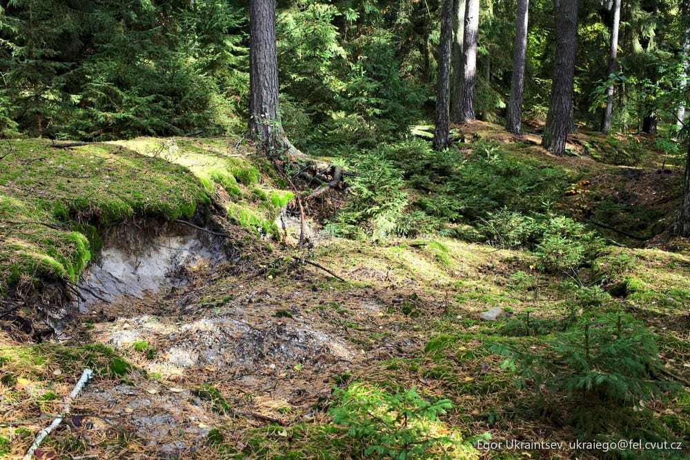 Small stream in the forest