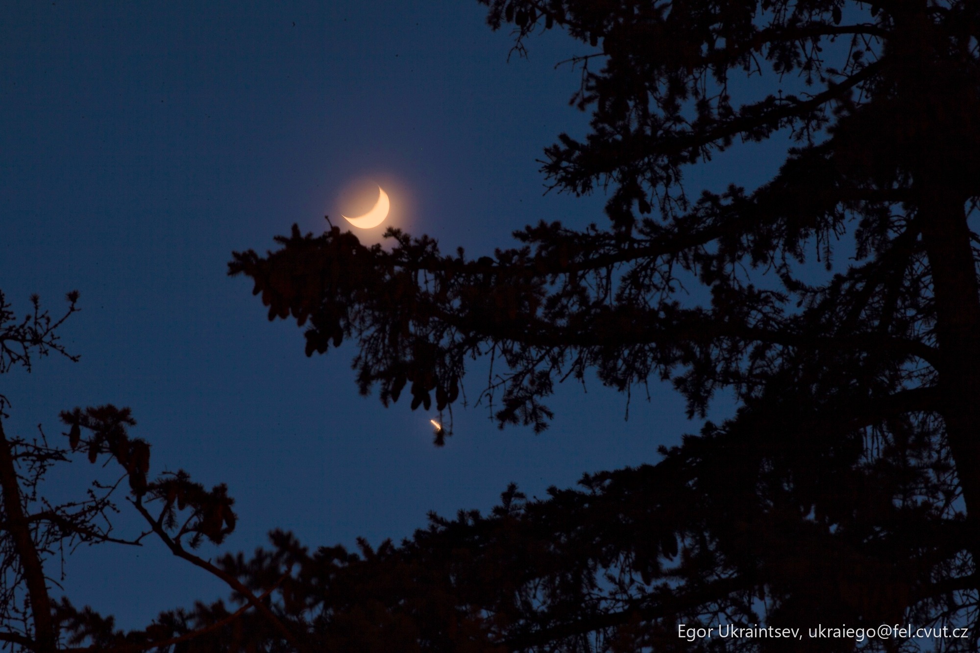 Moon in the night sky