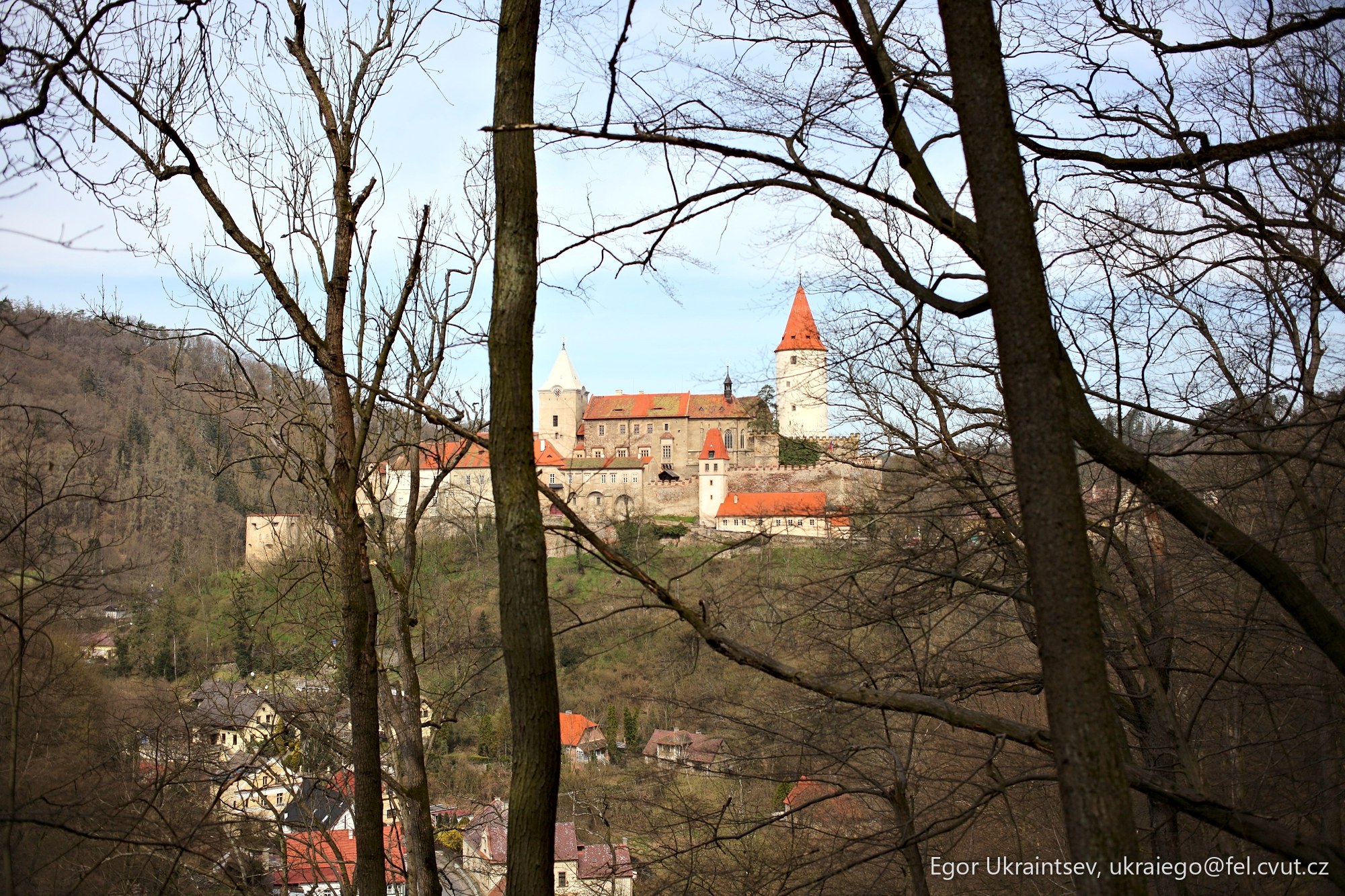 Castle in the middle of a forest