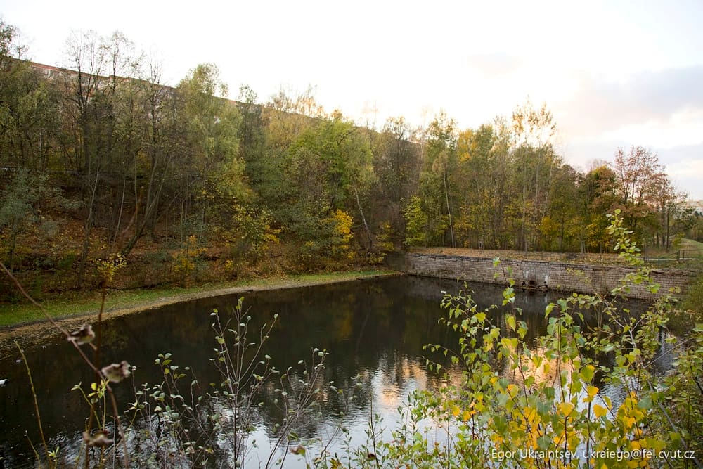 Pond in the woods
