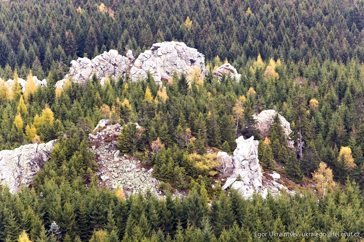 Trees and rocks